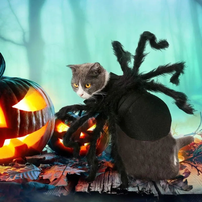 Halloween Spider Costume for Small Dogs & Cats – Black Pet Halloween Costume Qme