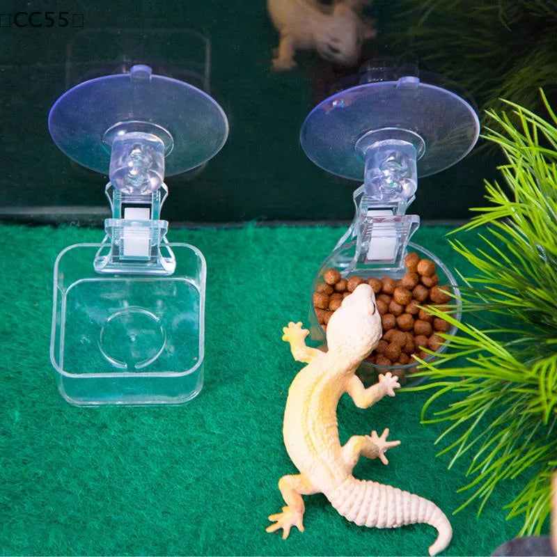 Reptile Suction Cup Feeder Bowl for Gecko, Lizard & Tree Frog Reptile Feeder Bowl Qst