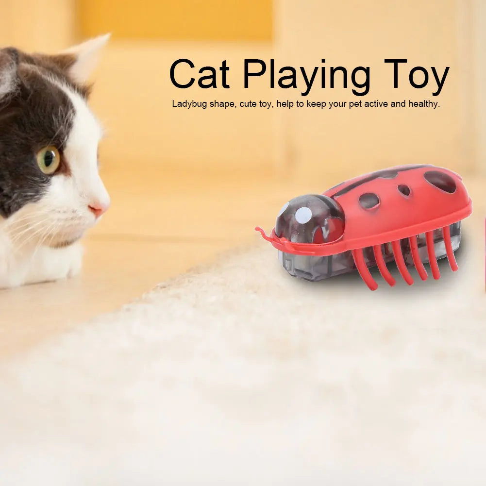 Electric Ladybug Cat Interactive Toy – Auto Walking Bug Interactive Cat Toy Qme