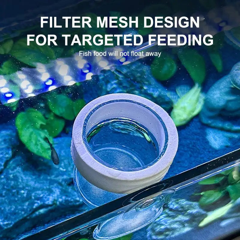 Transparent Acrylic Fish Tank Food Feeder Cup | Aquarium Accessory Aquarium Feeder Cup Qme