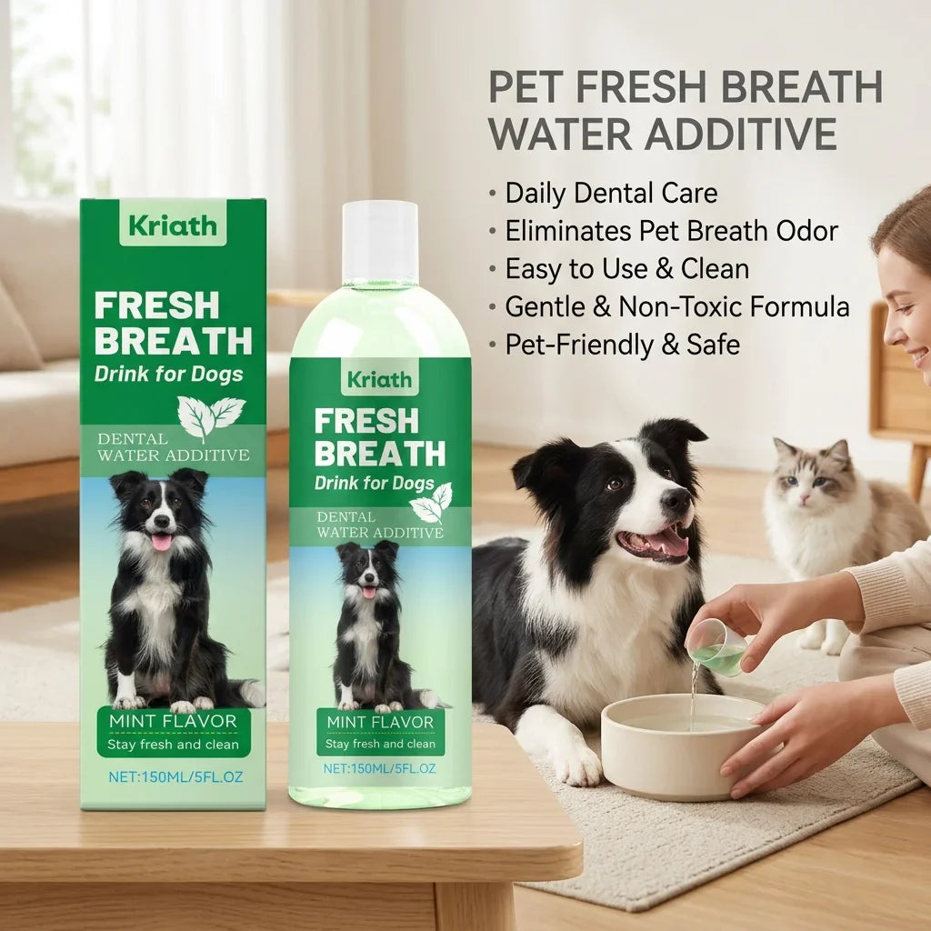 Mint Pet Mouthwash – Plaque Control & Fresh Breath Water Add Pet Dental Mouthwash Qme