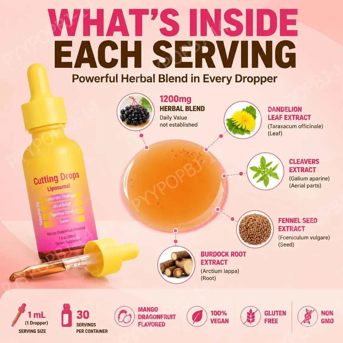 Elderberry Liposomal Liquid Drops – 10 Botanicals, Non-GMO 30ML Herbal Liquid Supplement Qst