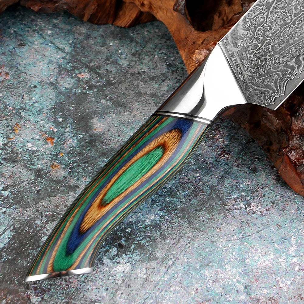 Xituo Damascus Steel Chef Knife Set – Green Wood Handle Chef Knife Set Qst