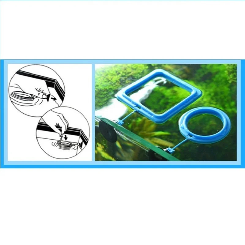 Aquarium Fish Feeding Ring – Floating Feeder for Fish Tanks Aquarium Feeding Ring Qme