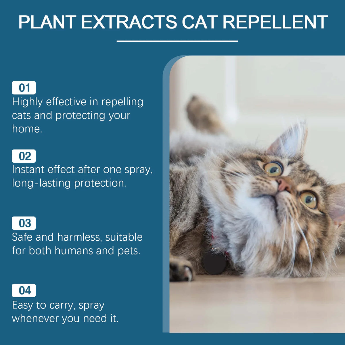 YEGBONG Pet Repellent Spray – Anti-Scratch & Chew Training Pet Training Spray Qst