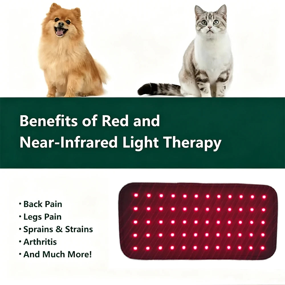 ZONGKUNG Pet Red Light Therapy Belt – 660nm & 850nm, 60 LEDs Pet Light Therapy Belt Qst