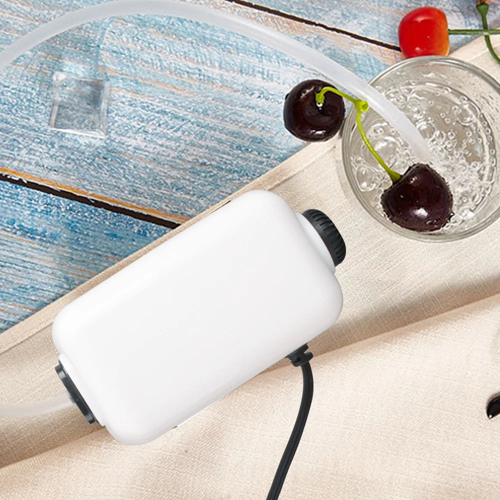 BORUIT Portable Food Foam Generator – Molecular Cooking Tool Food Foam Generator Qst