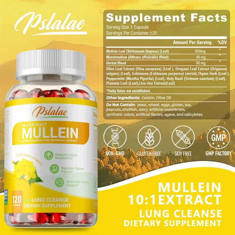 Mullein Leaf Extract Capsules – Antioxidant & Lung Support Herbal Supplement Qst