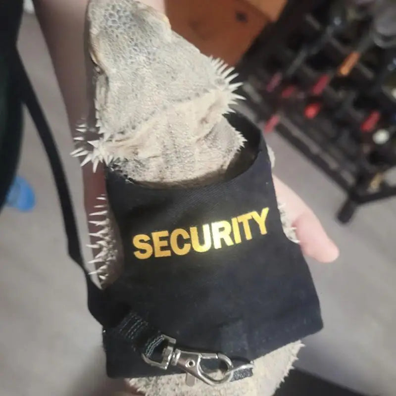 Reptile Harness & Leash | Bearded Dragon, Gecko, Lizard Reptile Harness Leash Qme
