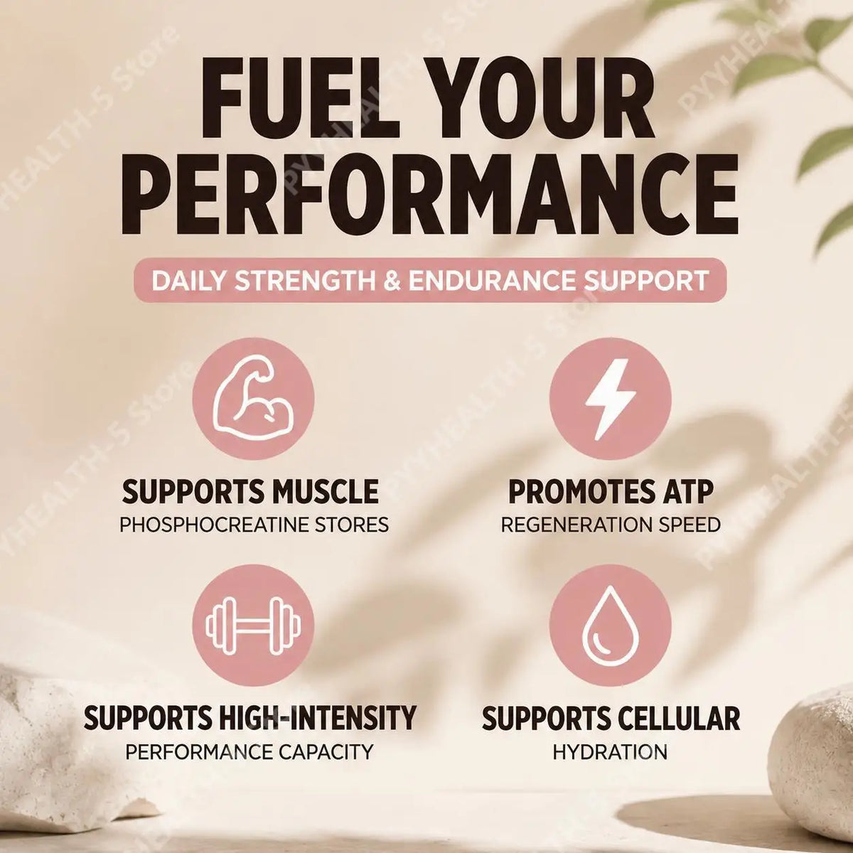 Creatine Monohydrate & Taurine Powder – 30 Servings | Sports Nutrition Sports Nutrition Powder Qst