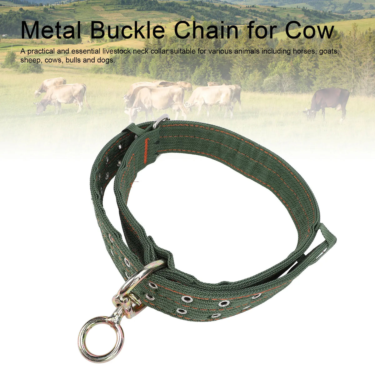 Heavy Duty Nylon Cattle Collar with Metal Buckle – 2 Sizes Livestock Collar Qme