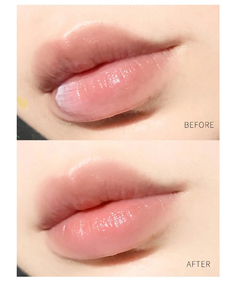 YOUNGCOME Natural Plant Lip Balm Set 4/6/8pcs – Moisturizing Lip Balm Set Qst