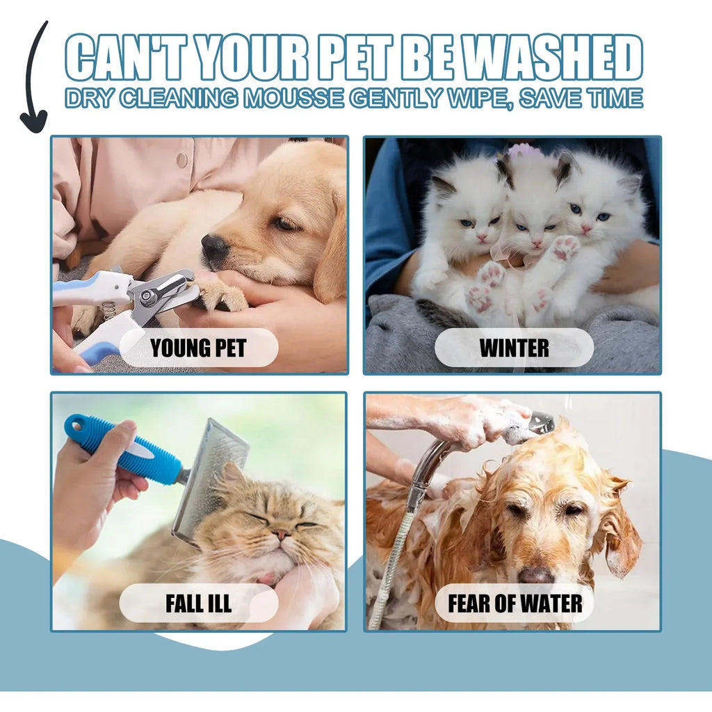 Pet Dry Shampoo Foam for Puppies & Kittens – No Rinse Pet Dry Shampoo Qme