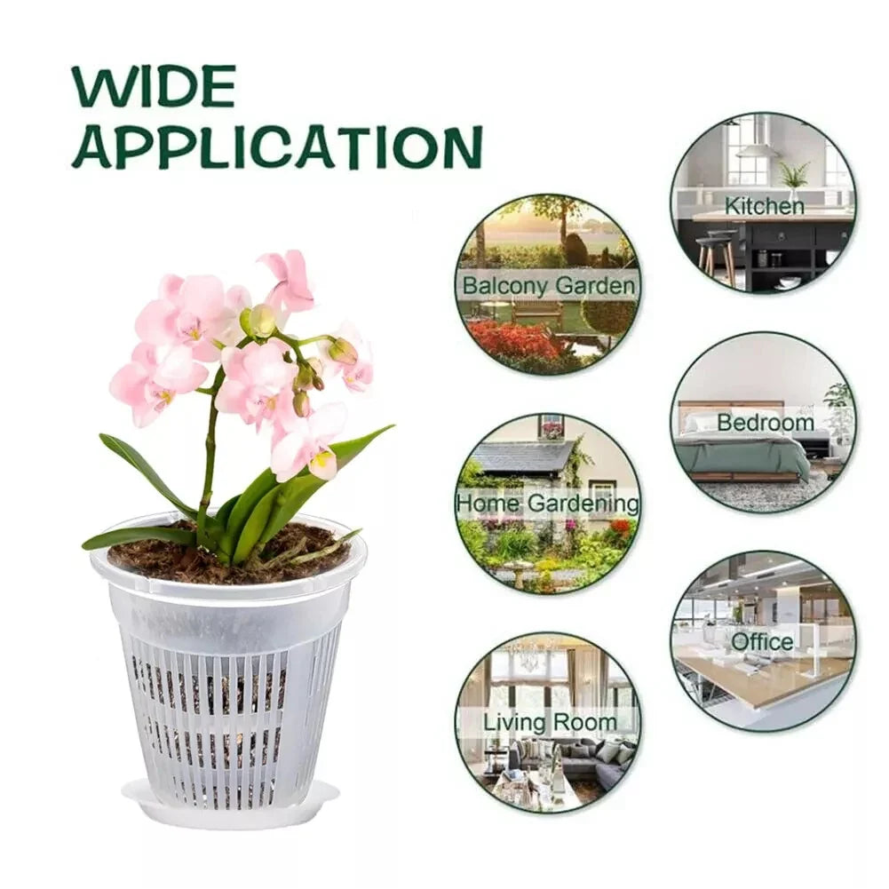 Clear Nursery Pots with Saucers | Orchid & Plant Pots Nursery Planter Pots Qme