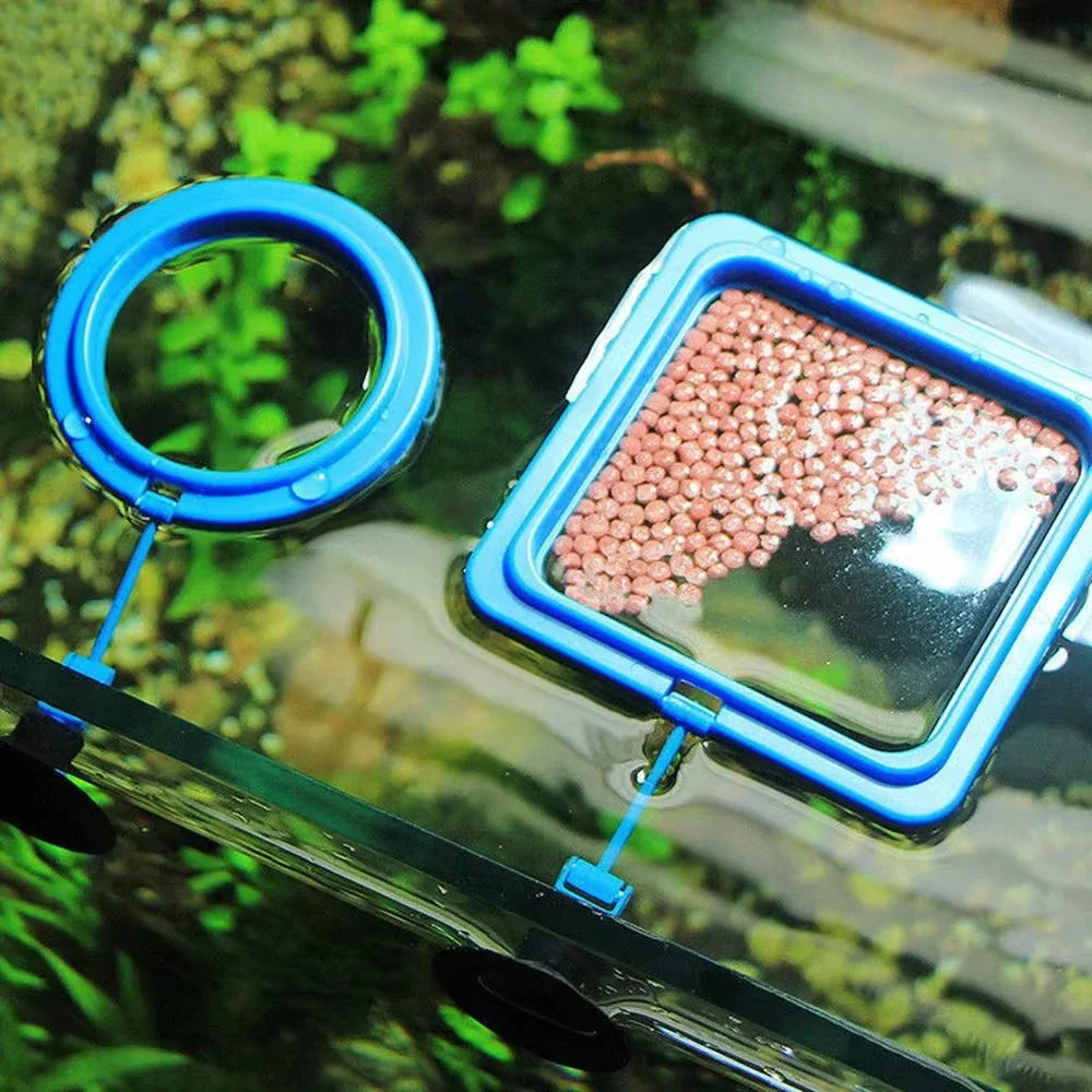 Aquarium Floating Feeding Ring Fish Tank Food Tray Feeder Fish Feeding Ring Qme