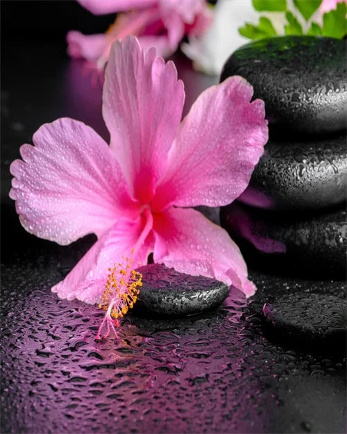 Green Bamboo Zen Stone Canvas Wall Art – Unframed Print Canvas Wall Art Qst