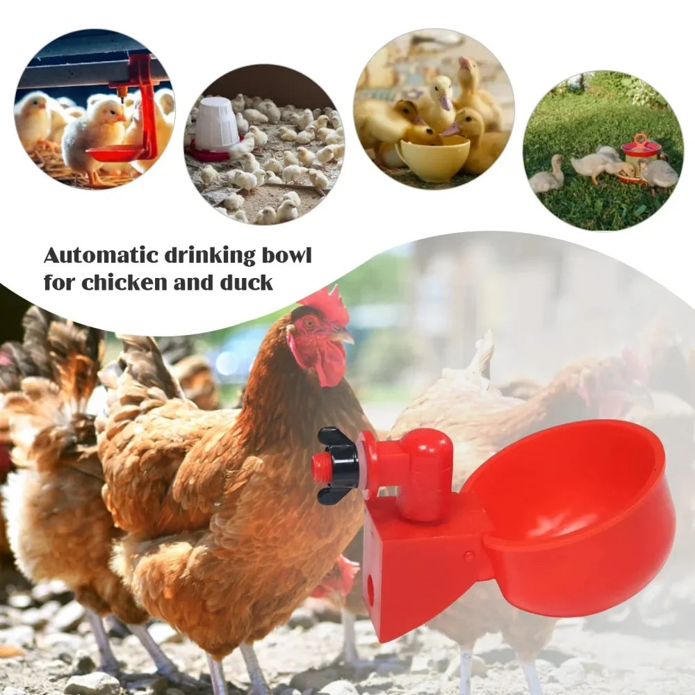 Automatic Poultry Water Dispenser for Chickens, Geese & Quail Poultry Water Dispenser Qme