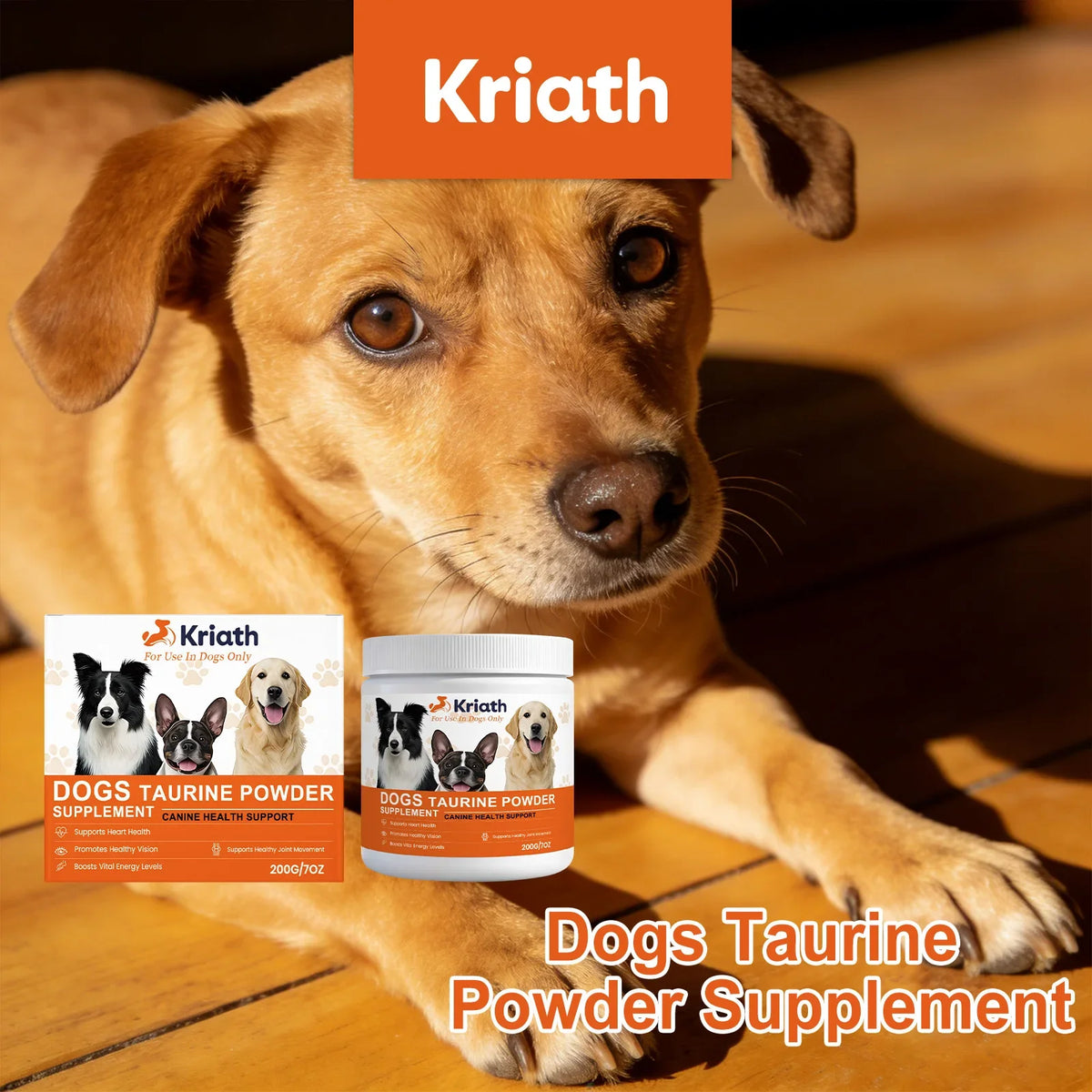 Dog Taurine Powder Supplement – Heart & Energy Support Dog Health Supplement Qme