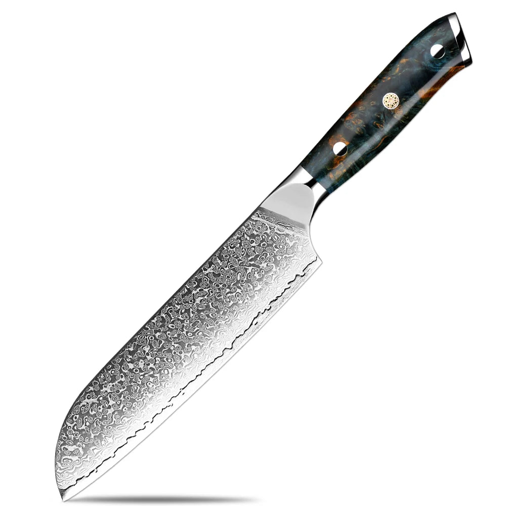 XITUO Damascus Kitchen Knife Set 1-6PCS – Santoku & Boning Kitchen Knife Set Qst Santoku Knife