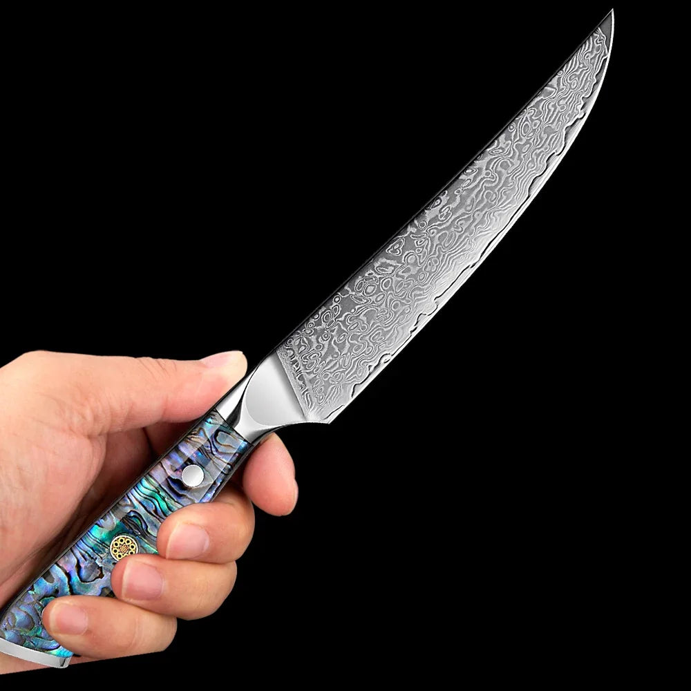 Damascus Steel Kitchen Knife Set – Abalone Handle | 1–5 Pcs Kitchen Knife Set Qst