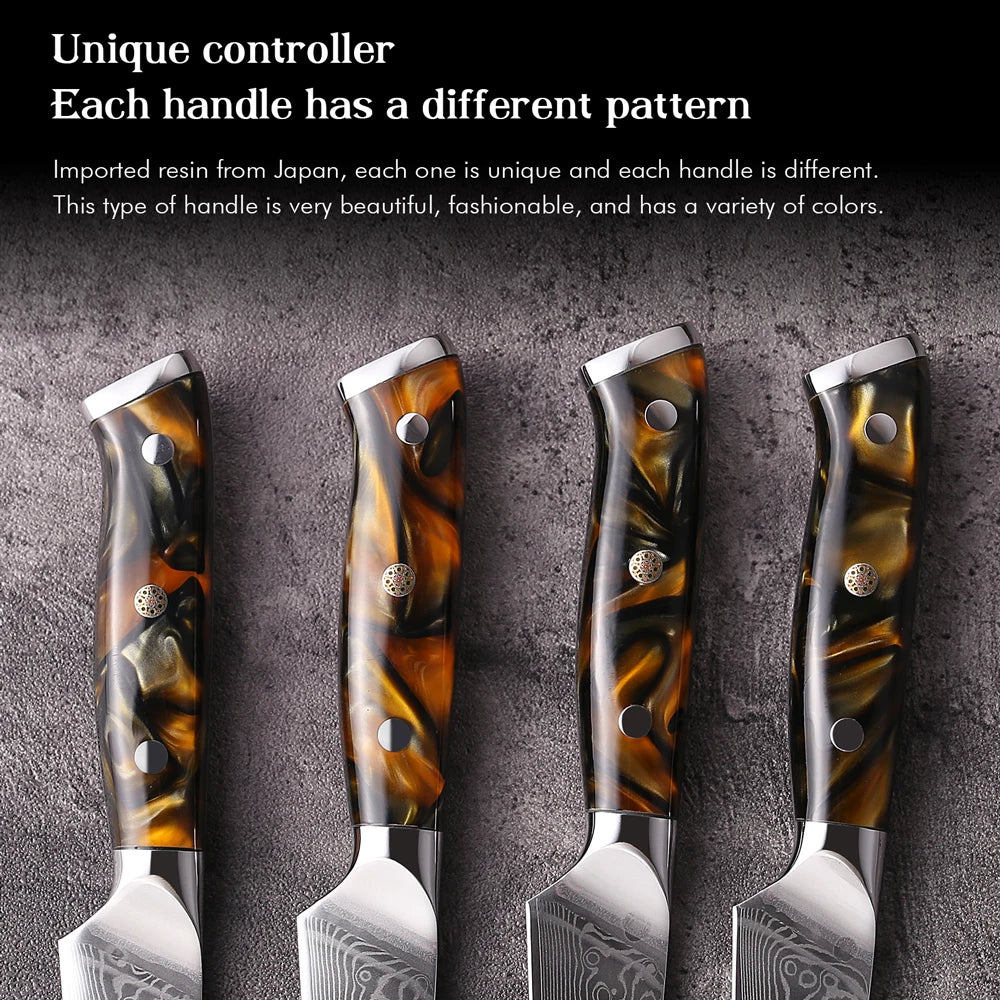 DASHWAY 3.5" Damascus Steel Paring Knife – VG10 Core Damascus Paring Knife Qst
