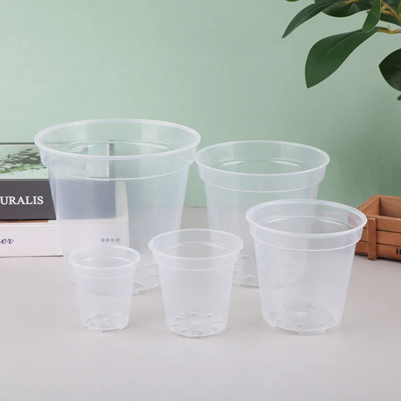 Transparent Round Orchid Planter Pot – Clear Nursery Container Orchid Planter Pot Qst