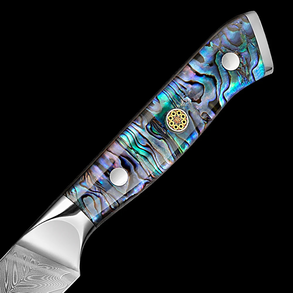 5" VG10 Damascus Paring Knife – Sharp Fruit & Veg Peeling Knife Damascus Paring Knife Qst