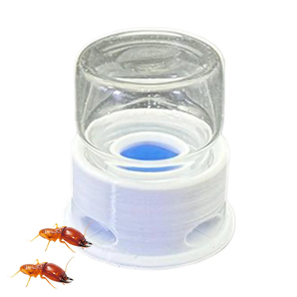 Ant & Bee Liquid Feeder – Transparent Leakproof 12ml Water Station Insect Habitat Feeder Qme
