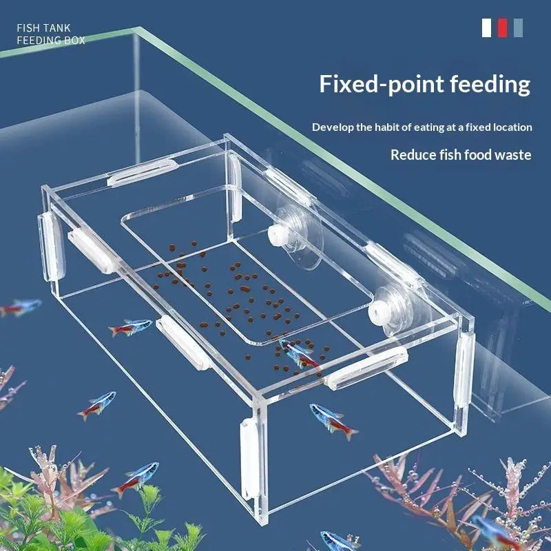 Acrylic Fixed-Point Fish Feeder – Anti-Drift Aquarium Hanging Aquarium Fish Feeder Qme