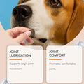 Dog Joint Support Chews – 100-Count Hip & Mobility Supplement Dog Joint Supplement Qme China Mainland