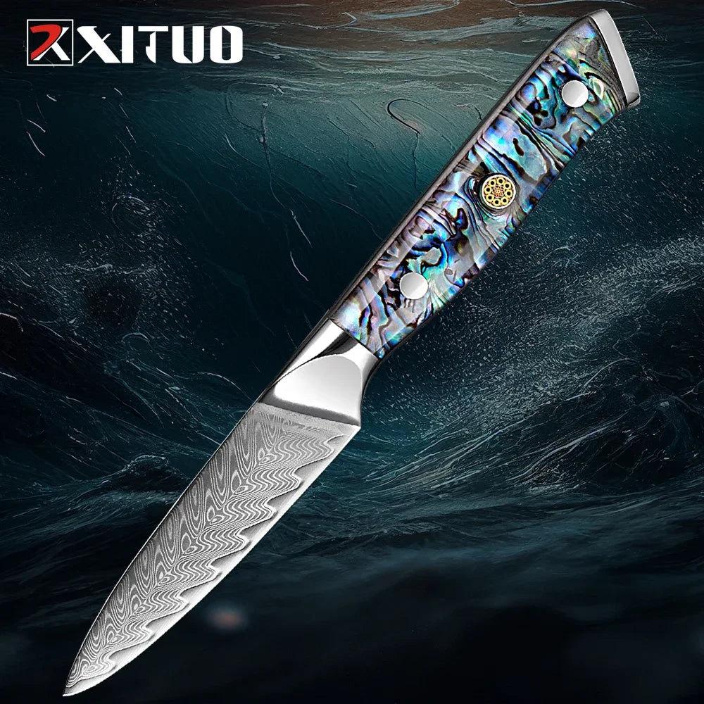XITUO 3.5" Damascus VG10 Paring Knife – Razor Sharp Kitchen Knife Damascus Paring Knife Qst Paring Knife 3.5 inch