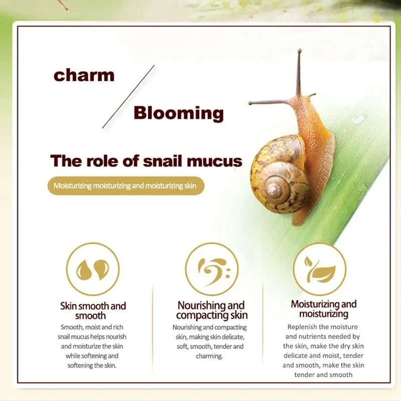 Snail Collagen Face Cream – Brighten & Firm Skin | Qme Face Cream Qme