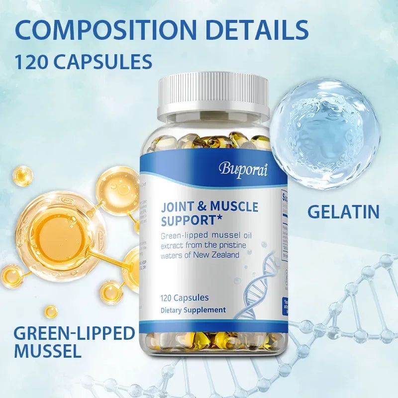 Green Lipped Mussel Oil Joint & Muscle Support Capsules Joint Support Supplement Qst