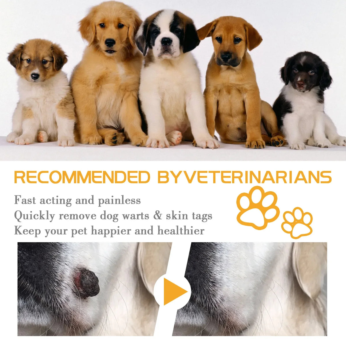 YEGBONG Pet Skin Cream – Wart & Corn Care for Dogs & Cats Pet Skin Care Cream Qst
