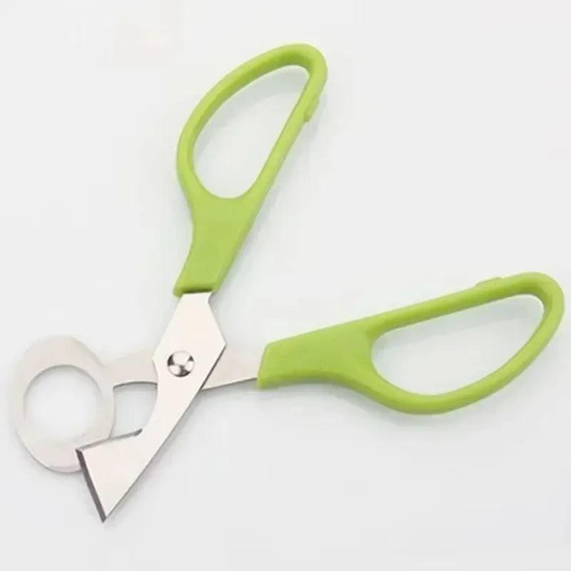 Quail Egg Scissors Cutter Opener – Stainless Steel Kitchen Tool Egg Scissors Cutter Qme A