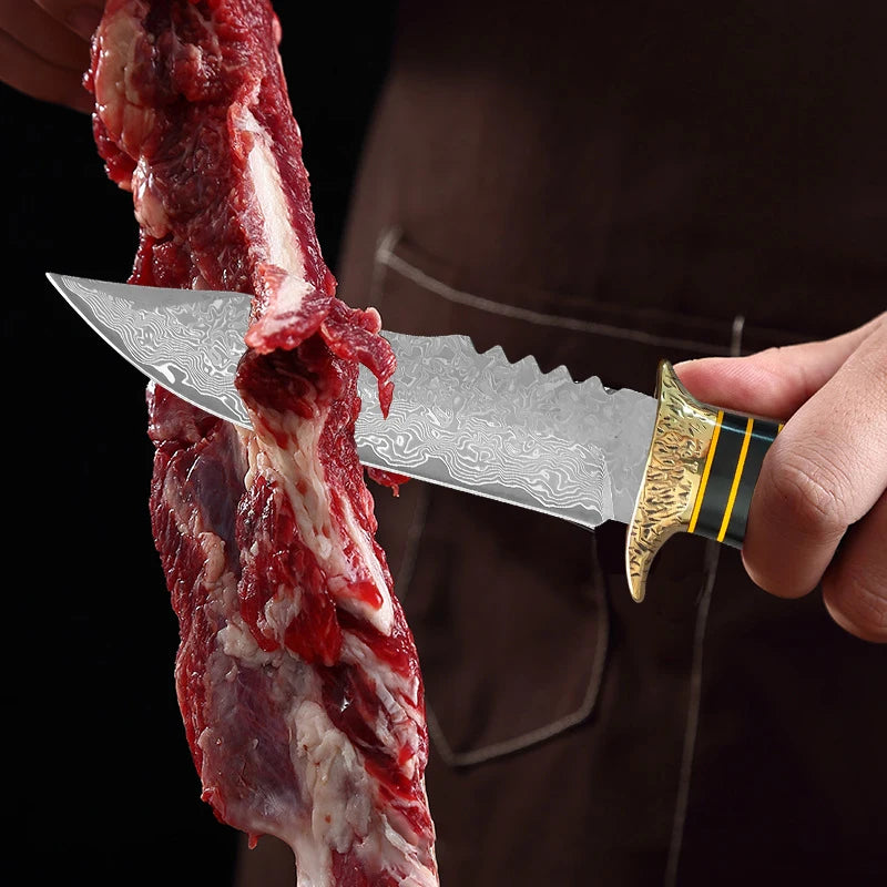InLeung 67-Layer Damascus Steel Chef Knife – VG10 Wood Handle Damascus Chef Knife Qst