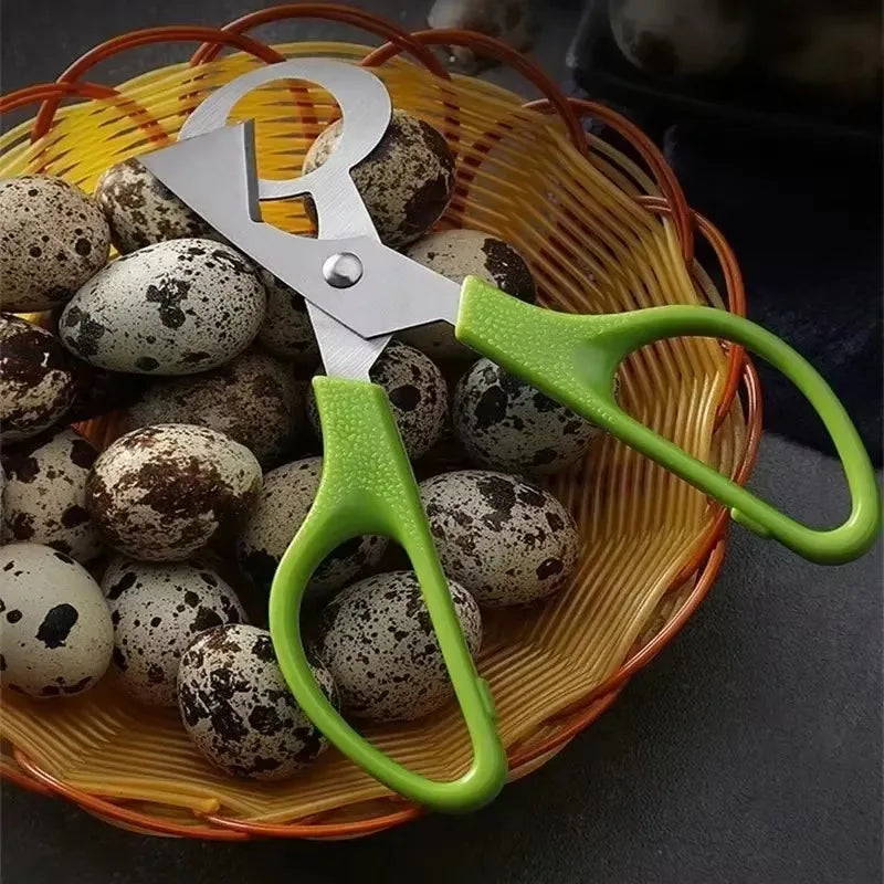 Quail Egg Scissors Cutter Opener – Stainless Steel Kitchen Tool Egg Scissors Cutter Qme