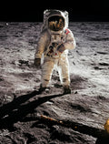 Apollo 8 Earthrise Space Canvas Wall Art Poster | Astronaut Canvas Wall Art Qst 6 40x60cm Unframed