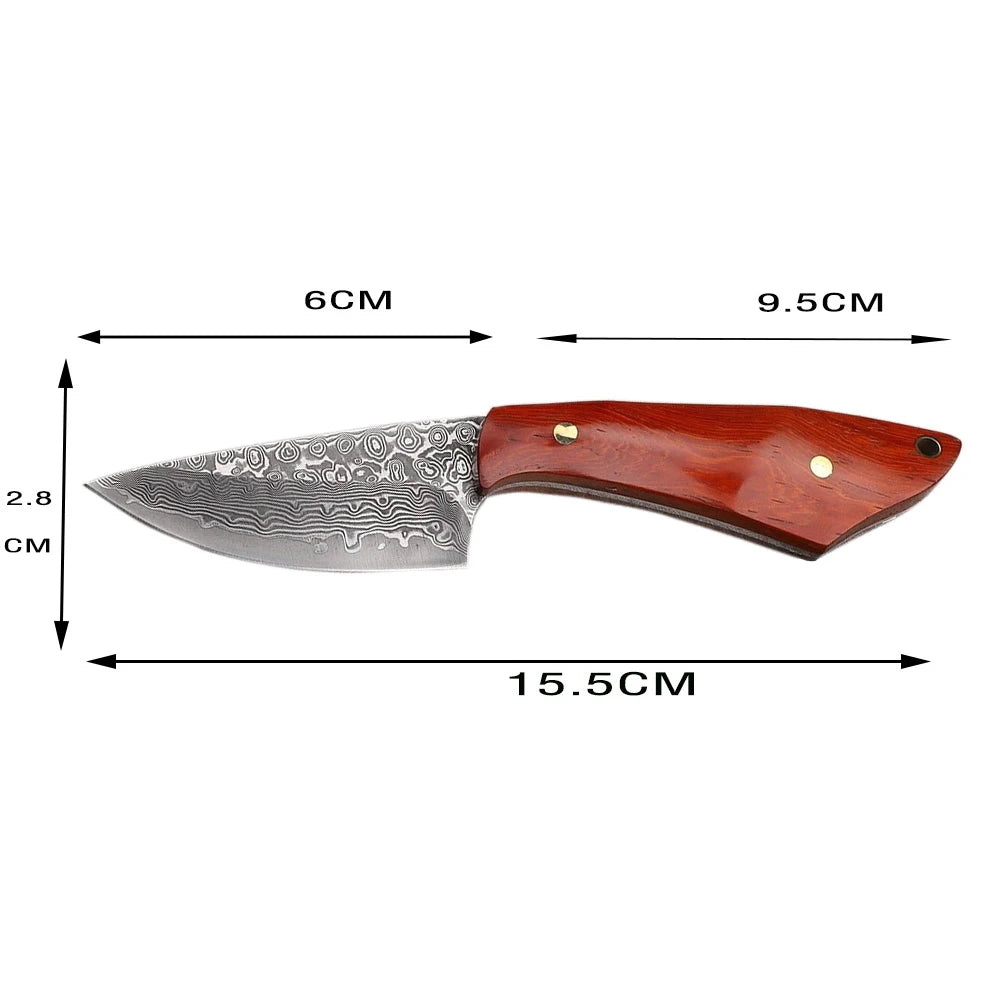 VG10 Damascus Steel Fixed Blade Knife – Sandalwood Handle EDC Fixed Blade Knife Qst