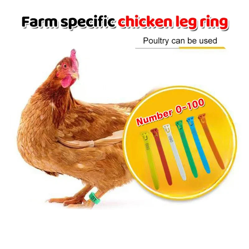 50 Reusable Poultry Leg Bands Flexible Foot Marking Rings Poultry Leg Bands Qme