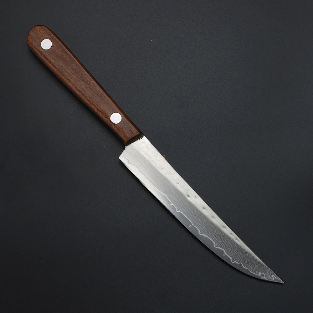 Damascus Steel Fixed Blade Fruit Knife – VG10 Sandwich Steel Fixed Blade Knife Qst
