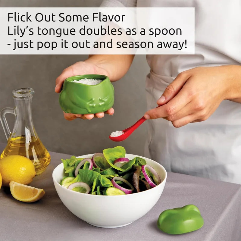 Frog Salt Cellar & Seasoning Jar – Cute Kitchen Decor Salt Cellar Qme