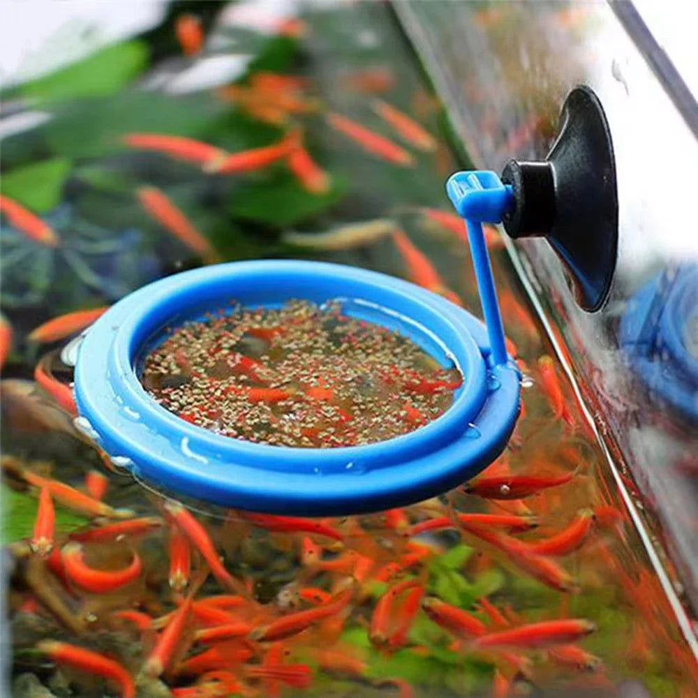 Aquarium Floating Feeding Ring Fish Tank Food Tray Feeder Fish Feeding Ring Qme