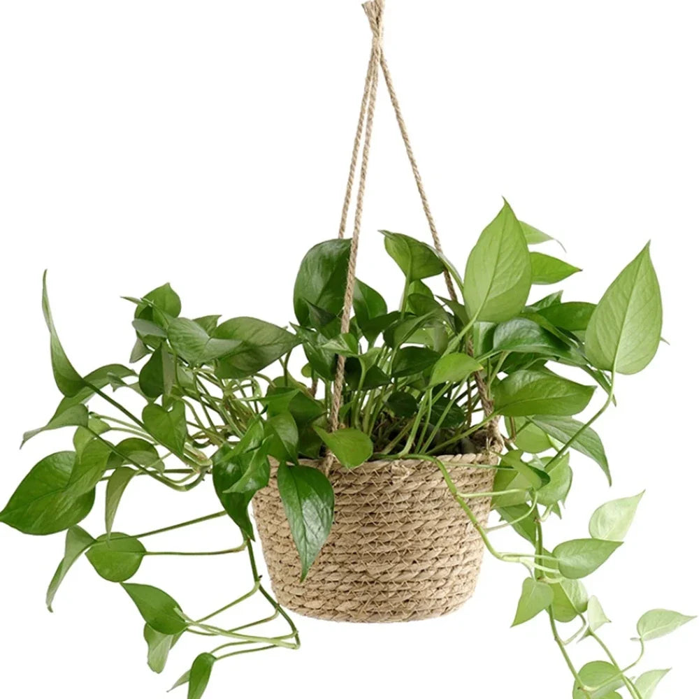 Woven Rattan Hanging Basket Planter for Orchids & Flowers Hanging Basket Planter Qme