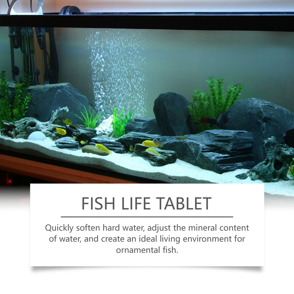 Aquarium Salt Slices 100g – Fish Tank Mineral Conditioner Aquarium Water Treatment Qst