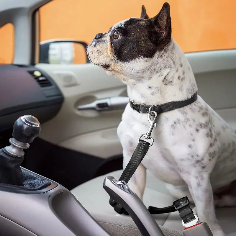 Reflective Bungee Dog Car Safety Belt – Adjustable Nylon Dog Car Safety Belt Qme