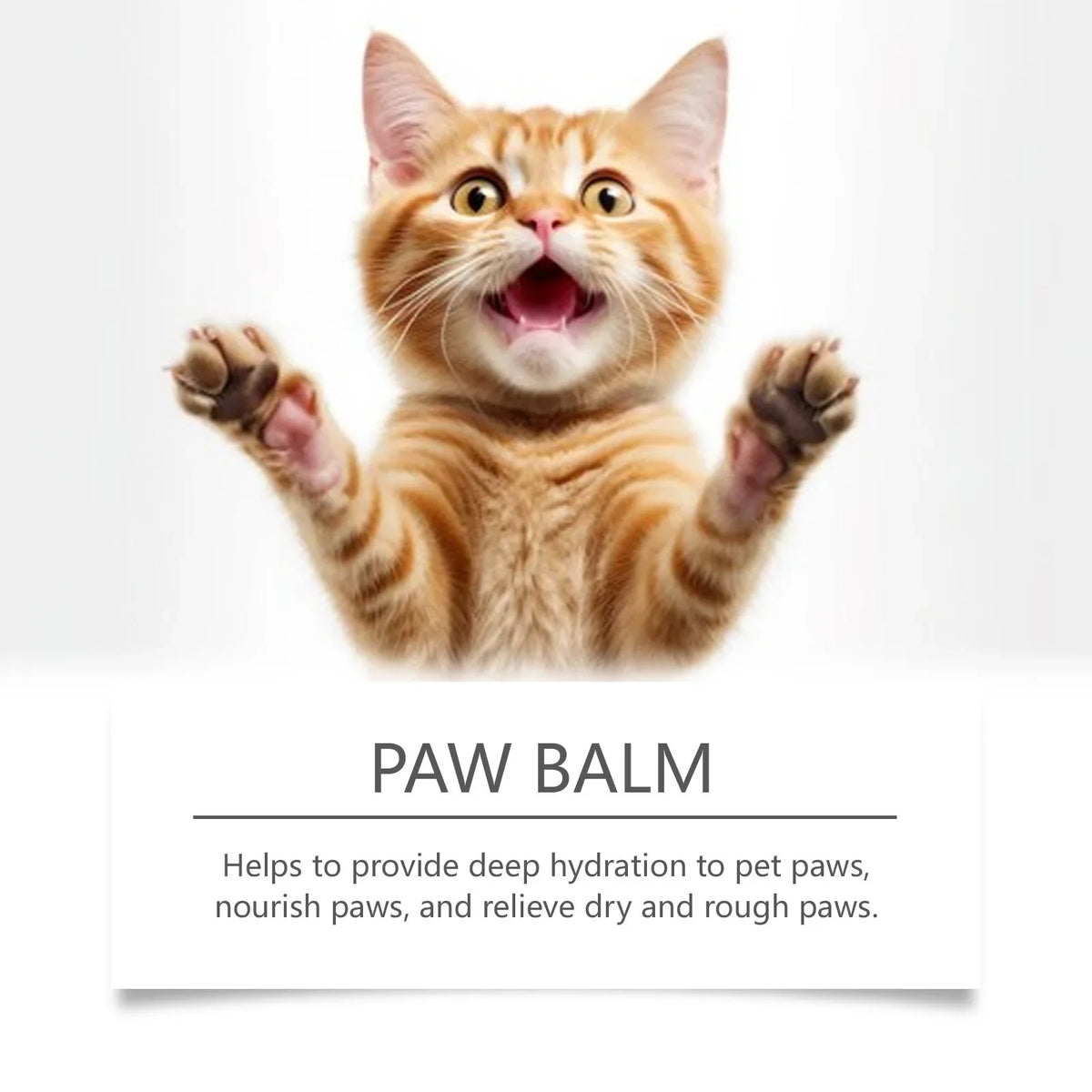 Pet Paw & Nose Balm – Moisturizing Protector for Cats & Dogs Pet Paw Balm Qme