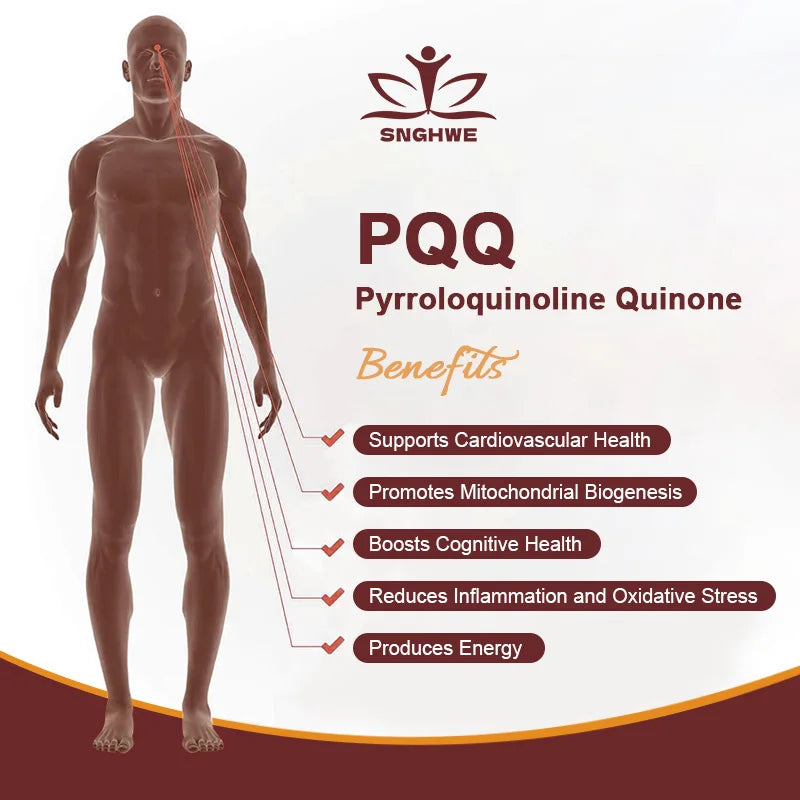 SNGHWE PQQ 20mg Capsules – Mitochondrial & Cognitive Support PQQ Supplement Qst