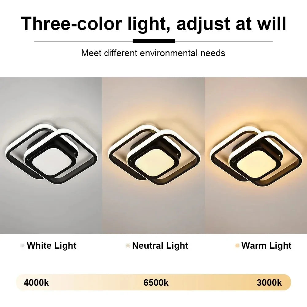 Nordic LED Ceiling Chandelier | Black & White Luxury Light LED Ceiling Chandelier Qme