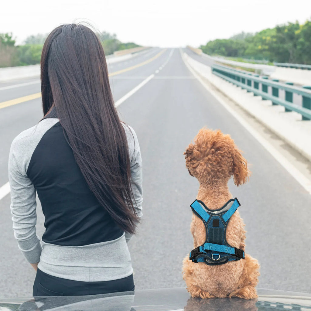 Adjustable Vest Harness for Small Dogs & Puppies | Oxford Dog Vest Harness Qme